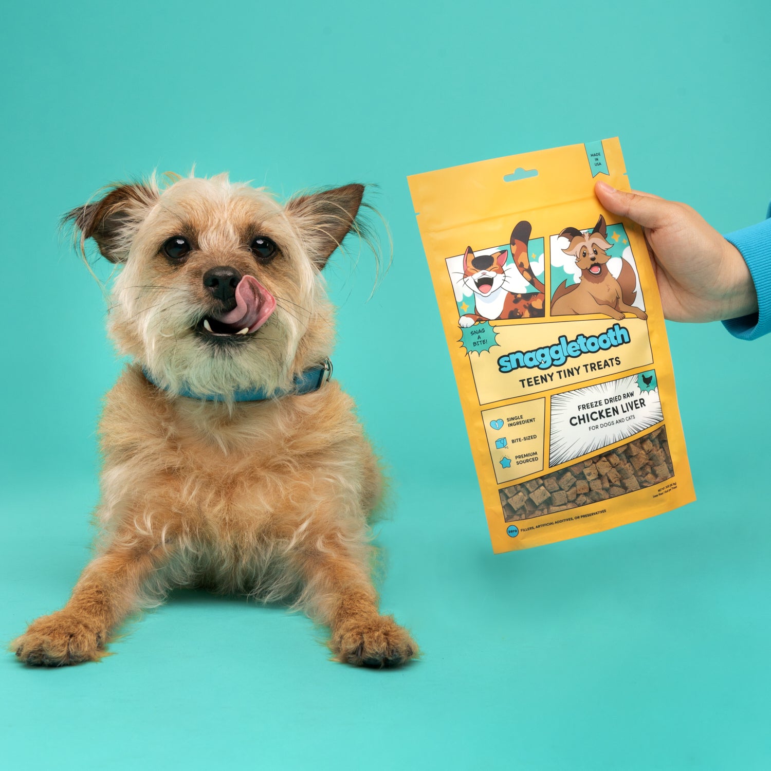 a bag of snaggletooth freeze dried chicken liver treats next to a small tan terrier licking it's lips