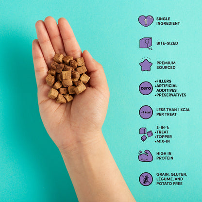 freeze dried chicken liver treat in hand with product benefits: single ingredient, bite-sized, premium sourced, zero fillers, artificial additives, or preservatives, less than 1 kcal per treat, 3-in-1 treat/topper/mix in, high in protein, & grain, gluten, legume and potato free.